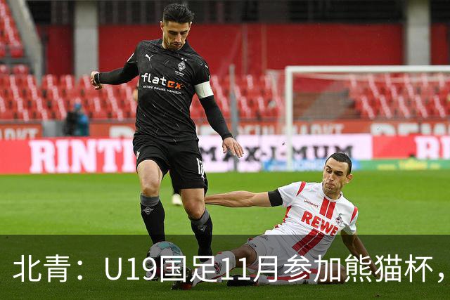 北青：U19国足11月参加熊猫杯，将交手韩国、越南、阿联酋